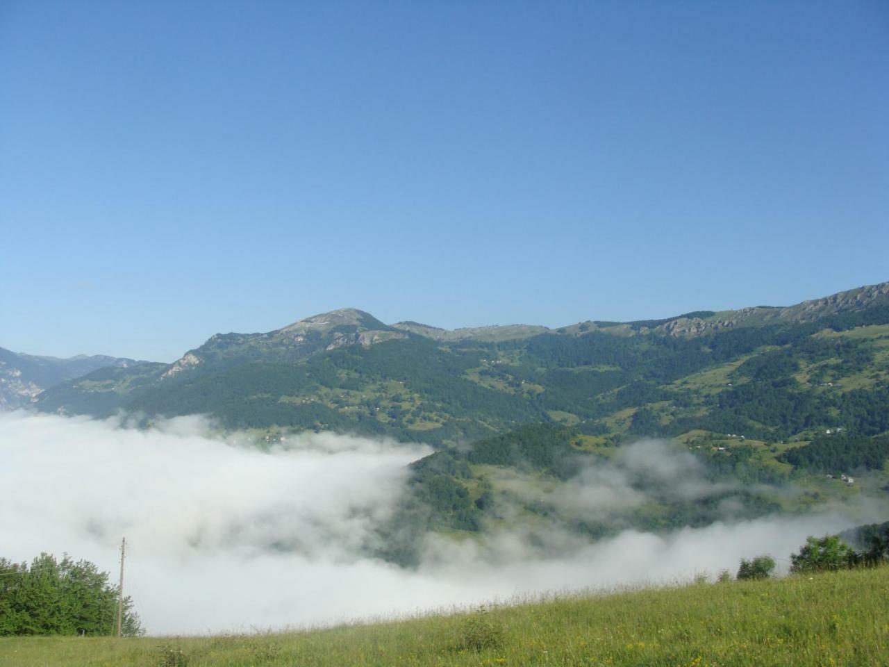 Taramour Cottages. Mojkovac Exterior foto